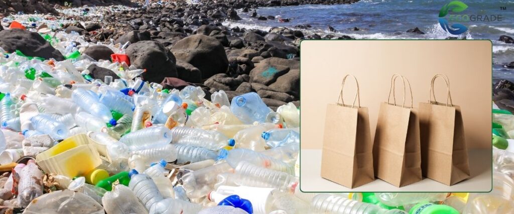 blog -Ecograde – Leading the Way in Eco-Friendly Packaging